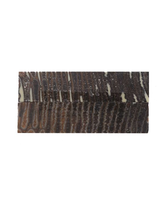 Manche de molaire de mammouth stabilisée MARRON